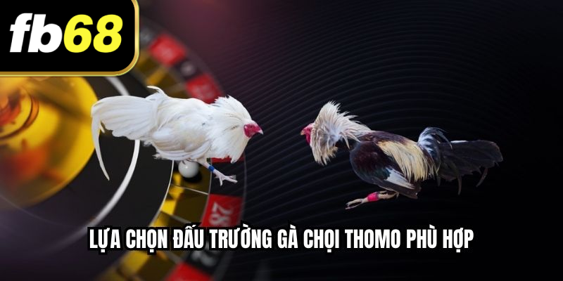 Lựa chọn đấu trường gà chọi thomo phù hợp