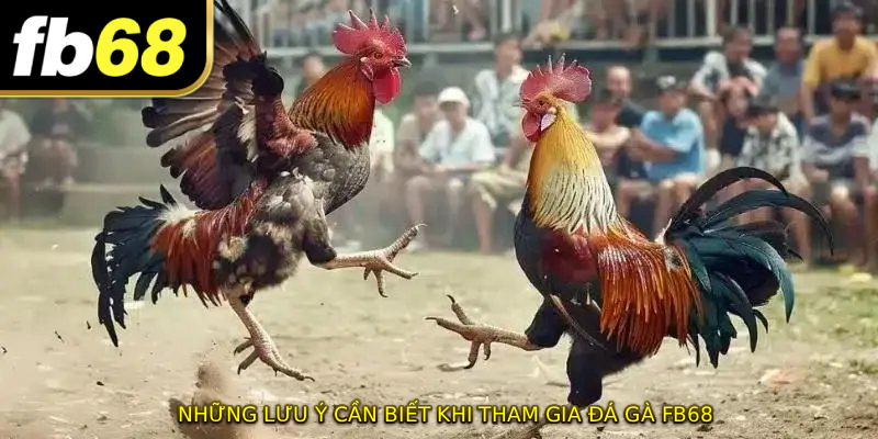 Những lưu ý cần biết khi tham gia ĐÁ GÀ FB68